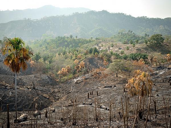 DE-FORESTACIÓN EN COLOMBIA