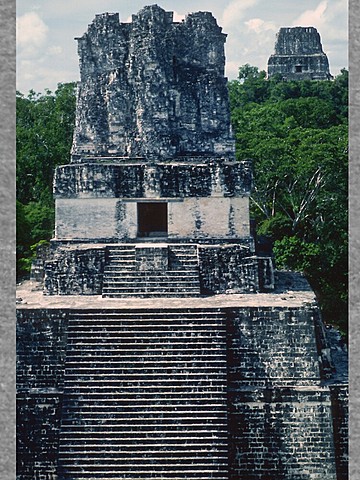 suspenden la construcción de tikal