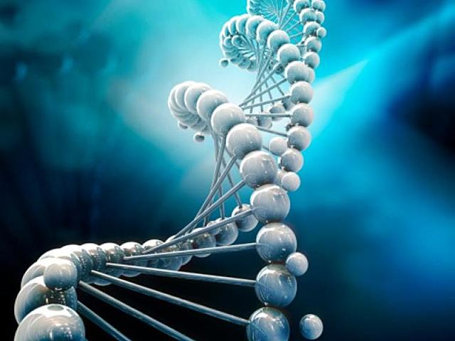 Método para replicar genes