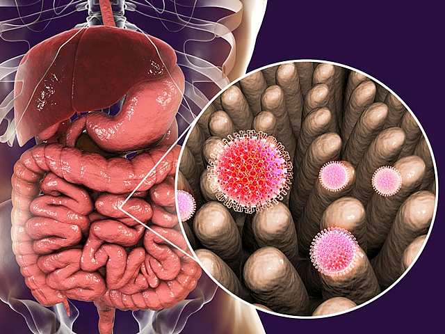 Rota Virus vaccine - the virus spreads easily among infants and young children. It leads to cause of severe watery diarrhea, vomiting, fever, and abdominal pain. The vaccines are effective preventive medicine to protect from rota virus disease.