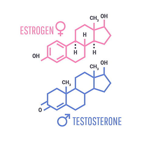 ESTRUCTURAS MOLECULARES