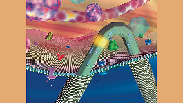 Harvard Magazine: Virus-Sized Transistors