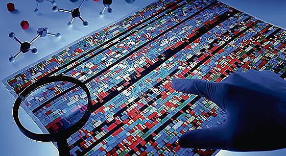 Final Proyecto Genoma Humano