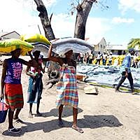 Politica de Gestão de Calamidades