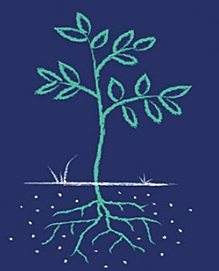 SIGNA. Predictiva-Personalización