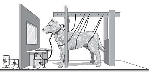 Vul’fson y Snarskii