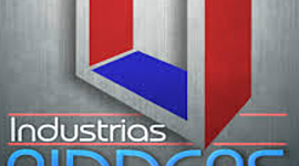 Timeline: Plan de trabajo ANUL del  SG-SST en la empresa RIDDERS