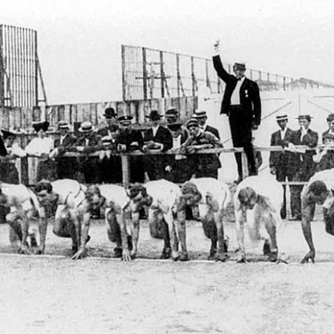 Jogos Olímpicos de St. Louis