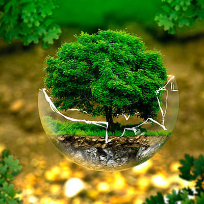 Timeline: ENERGIAS RENOVABLES