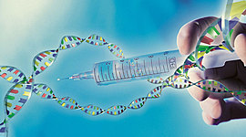 Timeline: la ingeniería genética