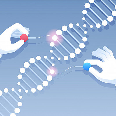 Timeline: HISTORIA DE LA INGENIERÍA GENÉTICA