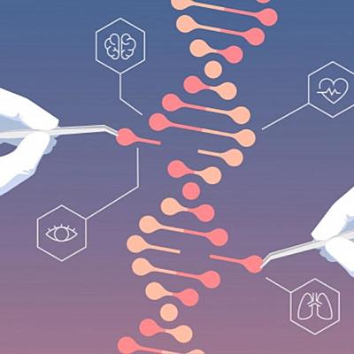 Timeline: Historia de la genética