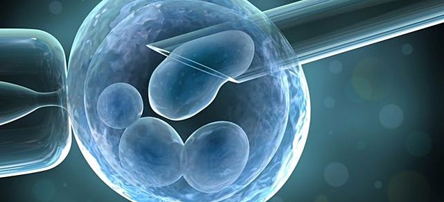 CLONACIÓN DE EMBRIONES HUMANOS.