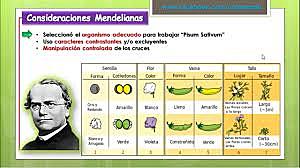 UNIDADES DE LA HERENCIA