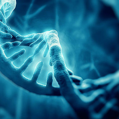 Timeline: histroria de la genetica