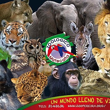 Matecaña Zoo Closed