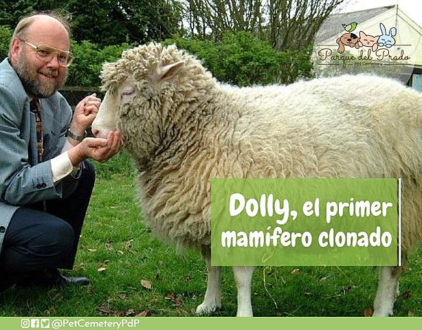 La Clonación de Dolly