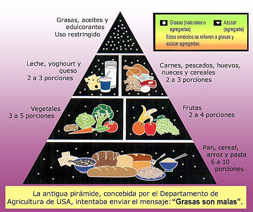Primer pirámide alimenticia