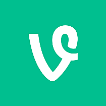 Vine