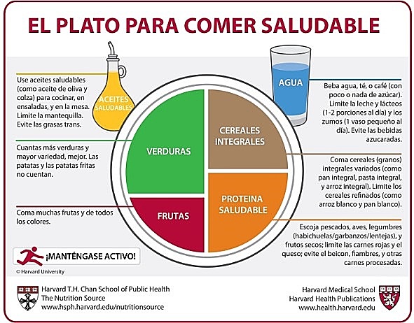 Mi plato "versión actual publicado por la universidad de hardvard"