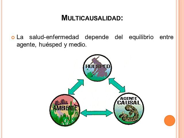 INICIOS DE LA MULTICAUSALIDAD.