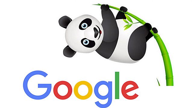 Google Panda y Google +