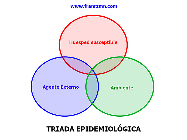 TRÍADA ECOLÓGICA.