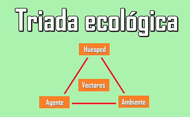 ● Leavell y Gurney Clark