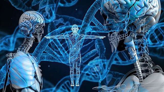 ●	Modelo biologicista