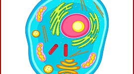 Timeline: Aportaciones al estudio de la célula.