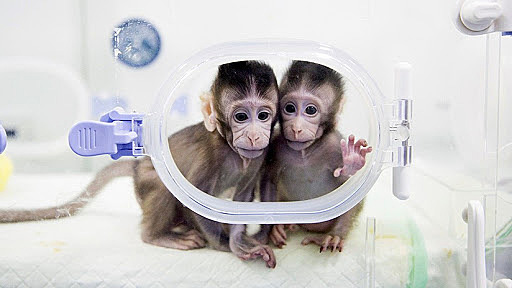 primer mapa del genoma humano