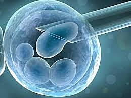 primer nacimiento con implantación