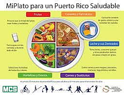 Mi plato "versión actual publicado por la universidad de hardvard"