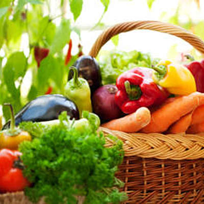 Timeline: A evolução da alimentação