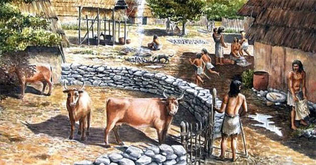 A DOMESTICAÇÃO DE ANIMAIS PARA O TRANSPORTE