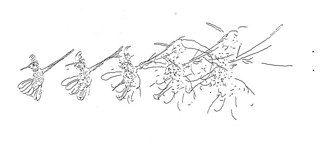 Primera obra de arte generada por computador