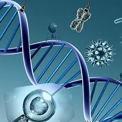 Timeline: Historia de la Genetica:)