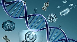 Timeline: Historia de la Genetica:)