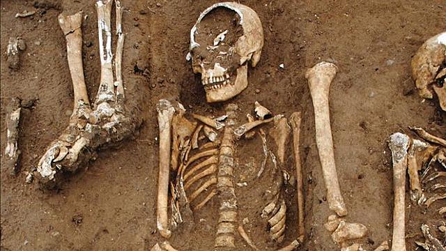 JAIME DELGADO Y LA LEY DE LA SELVA