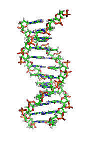 Friedrich Miescher y Richard Altmann