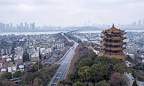 Expert conducted a brief field visit to Wuhan.