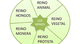 Timeline: REINOS DE LA NATURALEZA