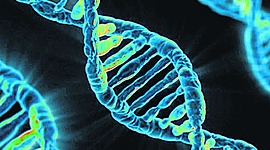 Timeline: Biografía de la Genética