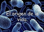 Origen de la VIDA.