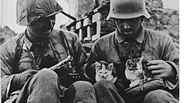 Timeline: Segunda Guerra Mundial (Primera Parte)