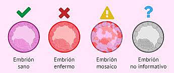 Tecnica de analisis embrionario