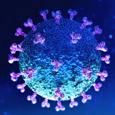 Timeline: CÁMARA DE ASPERSIÓN