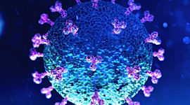 Timeline: CÁMARA DE ASPERSIÓN