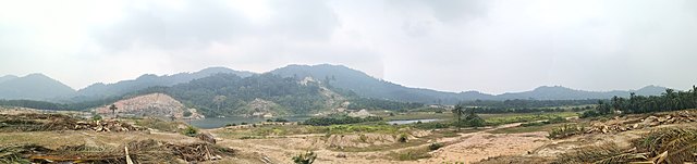 Land Preparation: Tree Felling