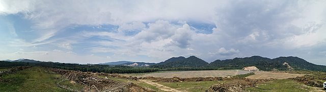 Land Preparation: Tree Felling